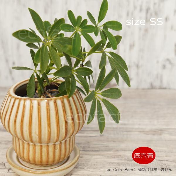 植木鉢andソーサー✳︎POT観葉植物✳︎園芸プランター 植木鉢andソーサー✳︎POT観葉植物✳︎園芸プランター