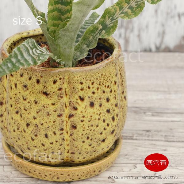 植木鉢 おしゃれ 陶器鉢 フラワーポット ミニポット 底穴あり