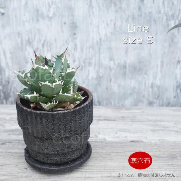 ポット 鉢 植木鉢 プランター おしゃれ 陶器鉢 Sol Line S φ11cm
