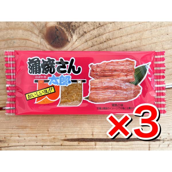 【サービス品】【おひとり1日１注文で１セット】蒲焼さん太郎×３