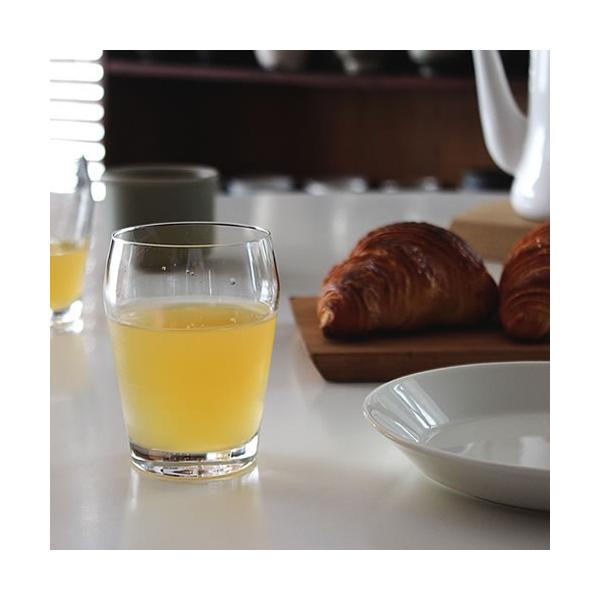 HOLMEGAARD PERFECTION EH[^[OX 260ml k zK[h OX Mtg    bsO