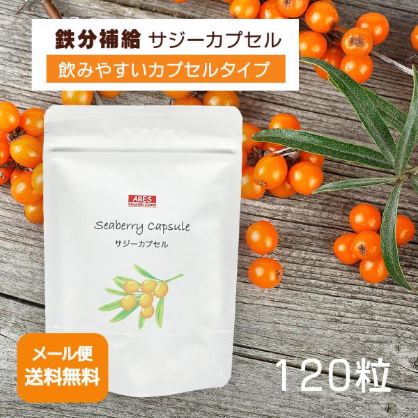 サジーカプセル【メール便配送商品(代金引換・日時指定不可)】120カプセル 沙棘 サジーサプリ 鉄分 ビタミン アミノ酸 女性 美容 ダイエット シーベリー