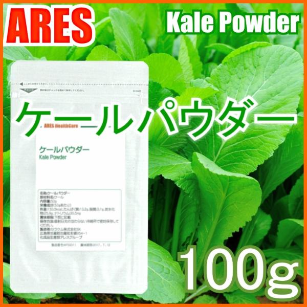 ケールパウダー　100g【メール便（ゆうパケット）配送商品(代金引換・日時指定不可)】