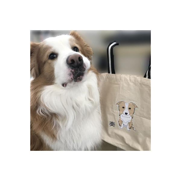犬 お散歩バッグ ショルダー トートバッグ 犬種 イラスト入れ 名入れ ランチバッグ エコバッグ Sサイズ 犬 猫 ふくろう イラスト 選べる B9867 S Argent 通販 Yahoo ショッピング