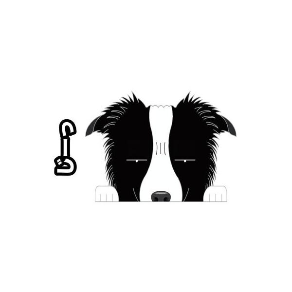 ボーダーコリー ステッカー みんな探してる人気モノ ボーダーコリー ステッカー ペット ペットグッズ
