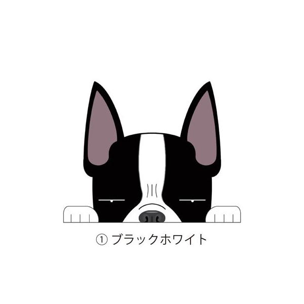 見てまステッカー ボストンテリア ボステリ 犬 犬ステッカー 車 窓 玄関 犬種別 名前 ステッカー ドッグステッカー グッズ カーステッカー Buyee Buyee 提供一站式最全面最專業現地yahoo Japan拍賣代bid代拍代購服務 Bot Online