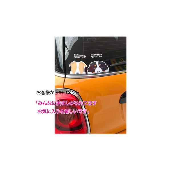見てまステッカー ボストンテリア ボステリ 犬 犬ステッカー 車 窓 玄関 犬種別 名前 ステッカー ドッグステッカー グッズ カーステッカー Buyee Buyee 提供一站式最全面最專業現地yahoo Japan拍賣代bid代拍代購服務 Bot Online
