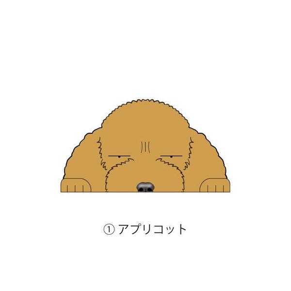 見てまステッカー トイプードル トイプー 犬 犬ステッカー 車 窓 玄関 犬種別 名前 ステッカー ドッグステッカー グッズ カーステッカー Buyee Buyee Japanese Proxy Service Buy From Japan Bot Online