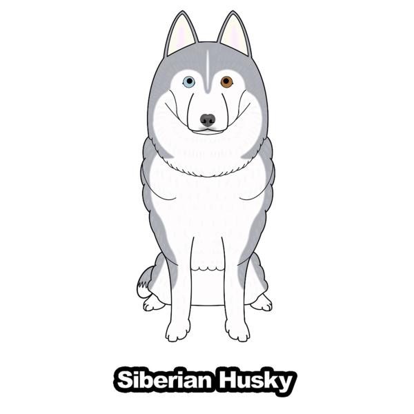 シベリアンハスキー ハスキー オッドアイ 犬 犬ステッカー 車 窓 玄関 犬種別 名前 ステッカー カーステッカー グッズ ドッグステッカー S Shsb01 Argent 通販 Yahoo ショッピング