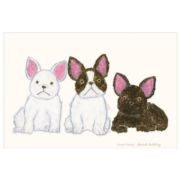 よねずゆうすけ 米津祐介 アートポスー しろふくろう シロフクロウ