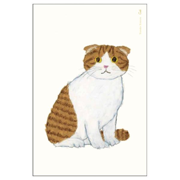 グリーティングライフ 米津祐介 ポストカード スコティッシュ / 猫