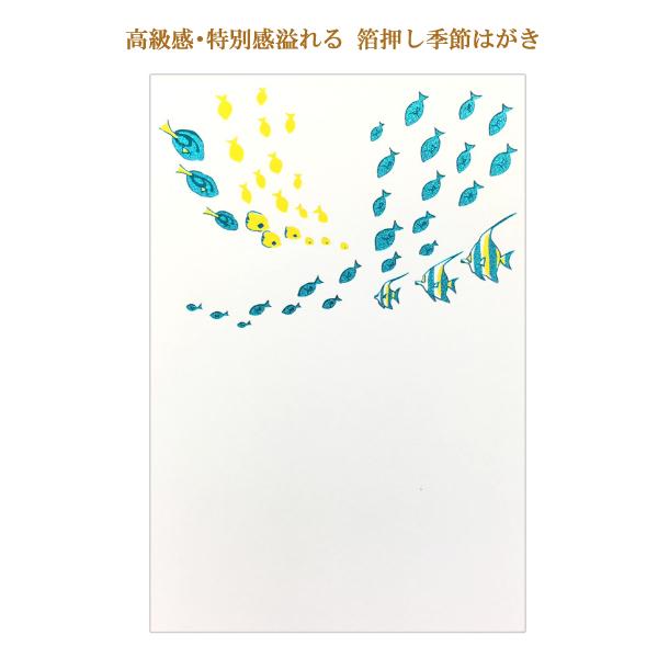 こよみはがき 8月 サマーフィッシュ / 暑中見舞い 熱帯魚 箔押し