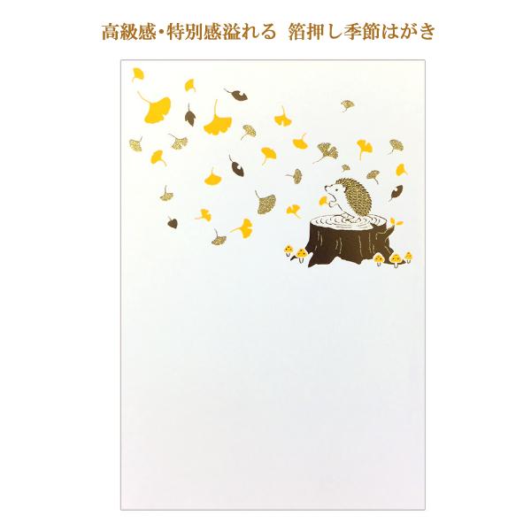こよみはがき 11月 ハリネズミ / 銀杏 箔押し 秋柄 郵便はがき フタバ