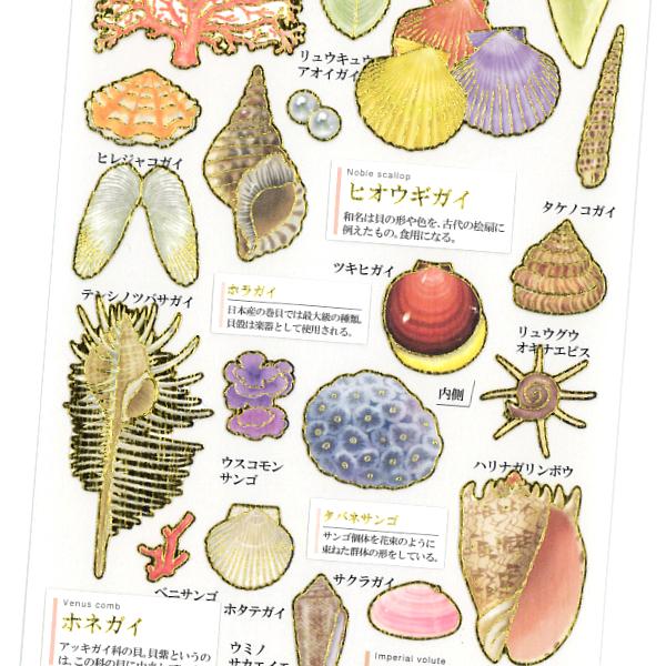 カミオジャパン 大人の図鑑シール 貝殻と珊瑚 / 海 サンゴ 貝 金箔押し 