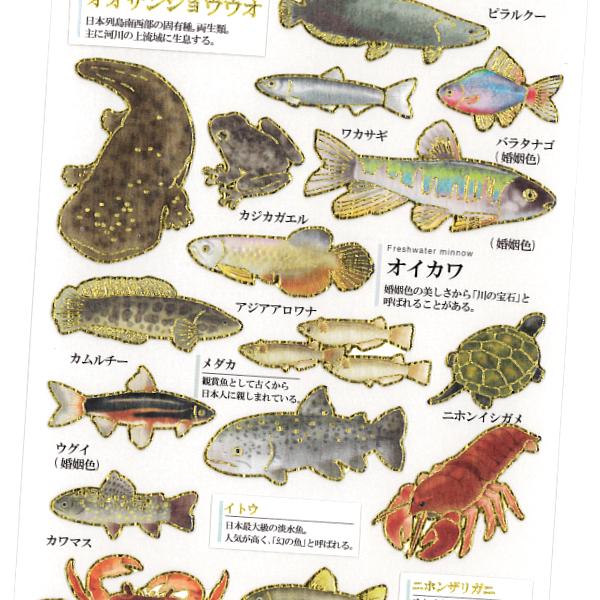 カミオジャパン 大人の図鑑シール 淡水魚 / 魚 金箔押し加工 手帳 デコ