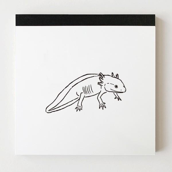 81  アニマルシリーズ★スクエアメモパッド Animal Series メモパッド・スクエア＜バク＞ GF-564 | デザイン