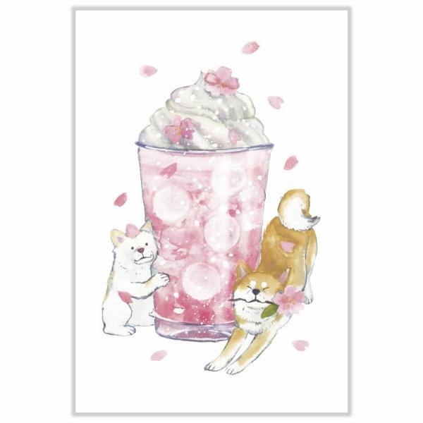 アクティブコーポレーション しばいぬと春 ポストカード 桜ラテ