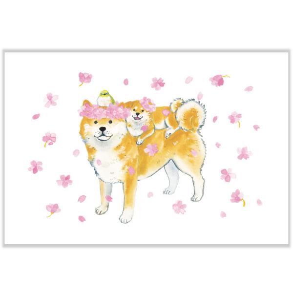 人気イラストレーター「村田なつか」さんの"しばいぬ"シリーズ。かわいい柴犬たちと春のお花がみずみずしいタッチで描かれています。春のお便りやコレクションに。柴犬/メジロ/野鳥/親子/桜(サクラ)/ハガキ/紙の厚み：★★☆(一般的な官製ハガキよ...