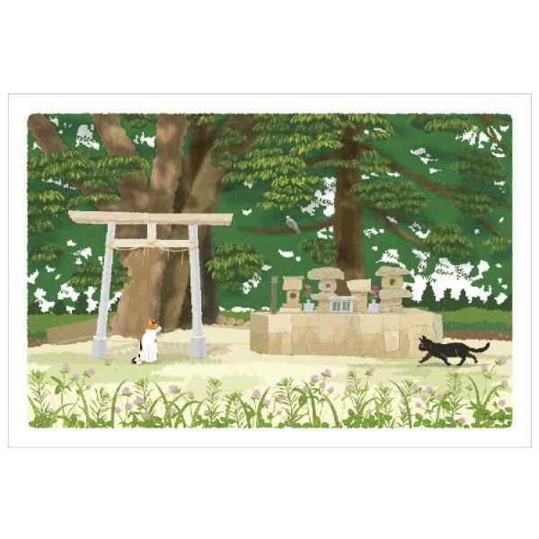 たびねこ 夏柄 ポストカード 約束の場所 / 可愛い 猫 ネコ 四季 風景 はがき もりとしのり