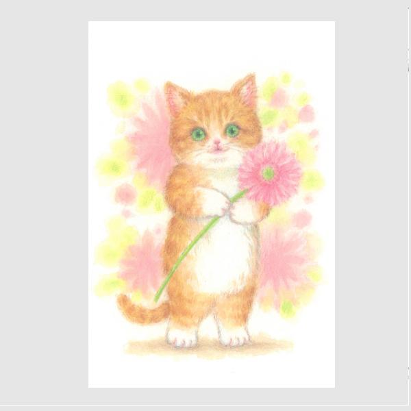 アクティブコーポレーション 動物と花束 ポストカード 茶トラと