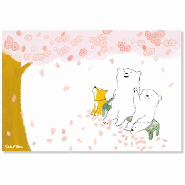 ももろ 春柄 ポストカード くまのお花見 / 可愛い シロクマ 桜
