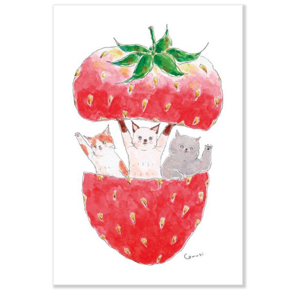 トコロコムギ ポストカード いちごの中からごあいさつ / 猫 ネコ 苺 イラスト はがき