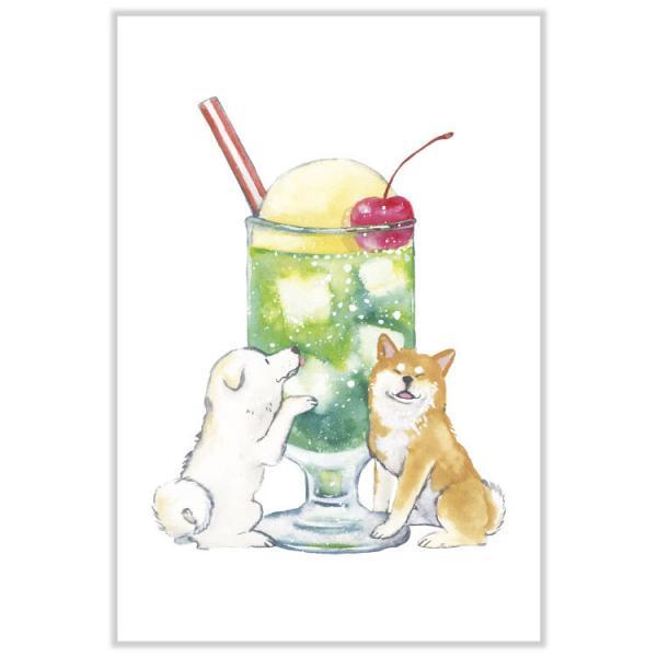 しばいぬとおやつ ポストカード クリームソーダ / 可愛い 柴犬 はがき 村田なつか