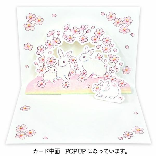 もりやましなこ うさぎと桜 ポップアップカード / 春柄 ウサギ 立体