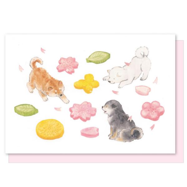 村田なつか　柴犬と大学芋 アクティブコーポレーション しばいぬと春のおやつ 和菓子 メッセージ