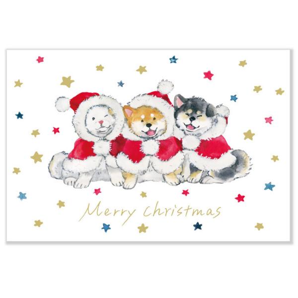 しばいぬとクリスマス ポストカード 3匹の子犬 / 可愛い 柴犬 村田なつか 箔押し はがき