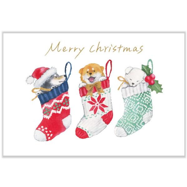 しばいぬとクリスマス ポストカード ソックス / 可愛い 柴犬 村田なつか はがき