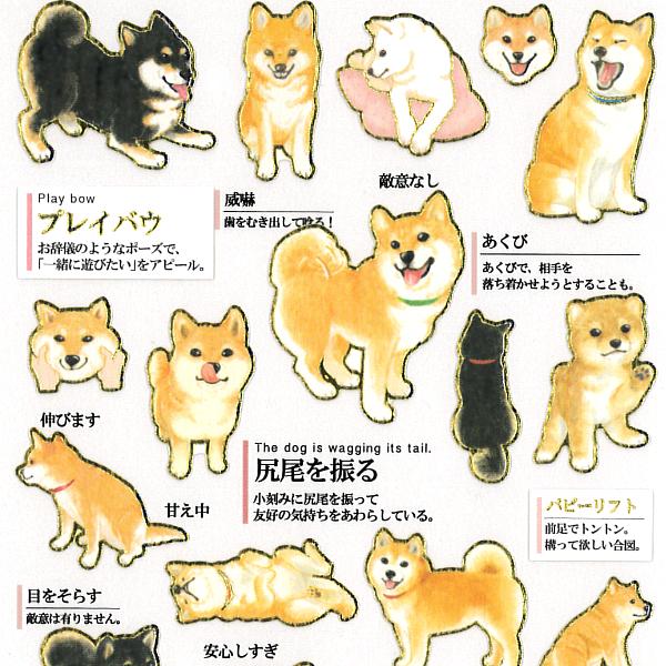 大人の図鑑シール 柴犬の気持ち 可愛い 黒柴 金箔押し加工 カミオジャパン 手帳 デコ 箔押し ありしろ雑貨店yahoo 店 通販 Yahoo ショッピング