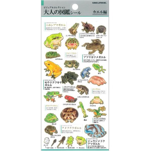 早い者勝ち 両生類 アイゾメヤドクガエル アズレウス ａｚｕｒｅｕｓ １匹 沖縄別途送料 爬虫類 両生類 Decorgallery Net