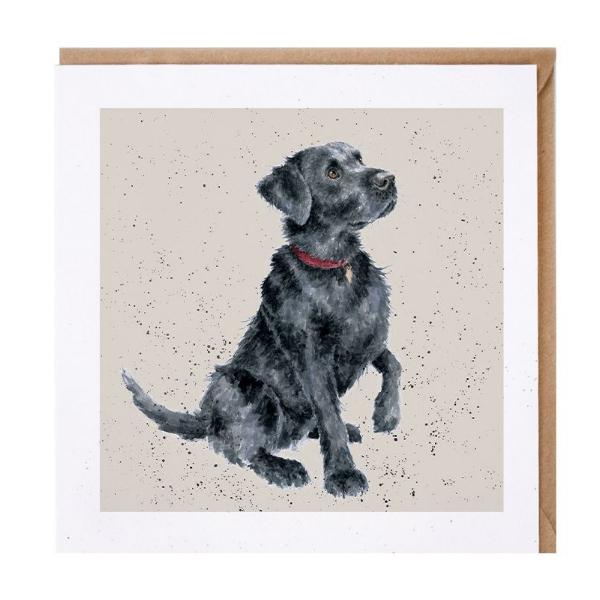 ドッグカード Black Lab / ラブラドール 犬 封筒付き メッセージカード