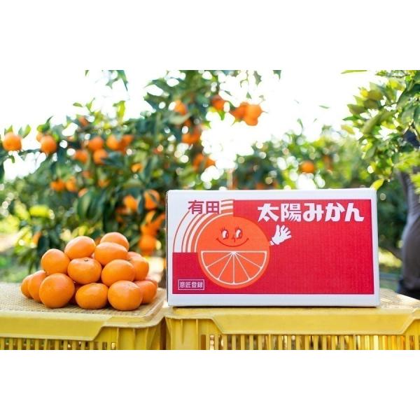 早生みかん 太陽みかん（有田みかん）サイズ：LL（赤秀） 内容量：10kg