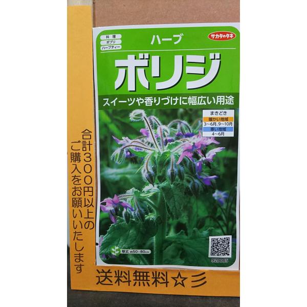 ボリジ ルリチシャ ハーブ 種 送料無料 Buyee Buyee 일본 통신 판매 상품 옥션의 대리 입찰 대리 구매 서비스