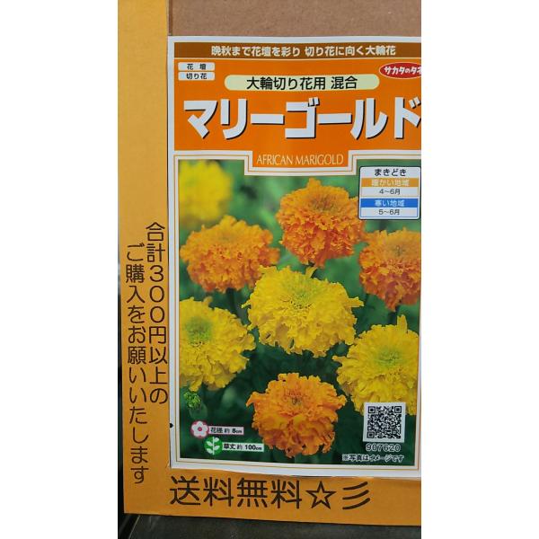 切り花 種の価格と最安値 おすすめ通販を激安で