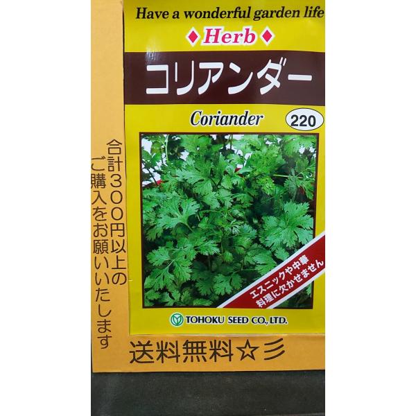 コリアンダー パクチー 香菜 ハーブ 種 送料無料 Buyee Buyee Japanese Proxy Service Buy From Japan Bot Online