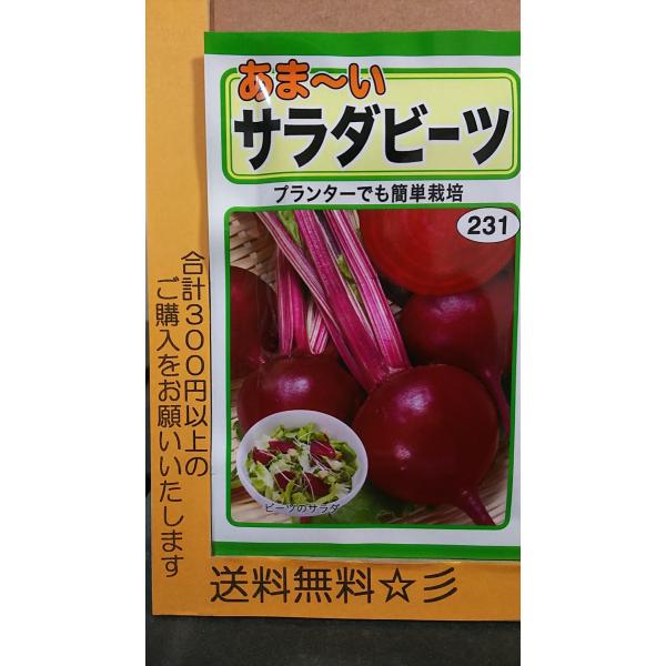 果菜の種 ランキングtop100 人気売れ筋ランキング Yahoo ショッピング