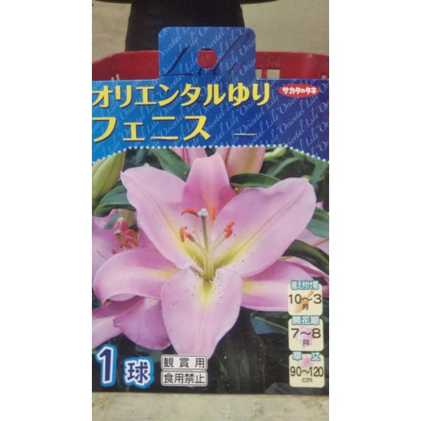 写真は同品種・同規格の品です。お届け品の現物ではありません。数量１のご注文で、１袋のお届けとなります。在庫切れ防止のため、実際の在庫数より販売可能数を少なく設定している場合があります。まとまった数量をご希望の場合は、お問い合わせください。お...
