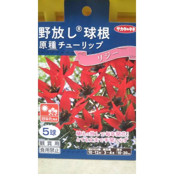 写真は同品種・同規格の品です。お届け品の現物ではありません。数量１のご注文で、１袋のお届けとなります。在庫切れ防止のため、実際の在庫数より販売可能数を少なく設定している場合があります。まとまった数量をご希望の場合は、お問い合わせください。お...