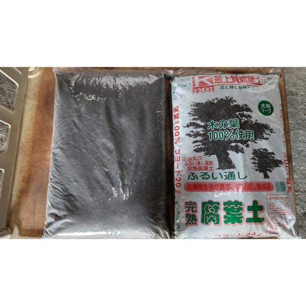 ֓`B  R܃Zbg n t100 20bg t[h ty