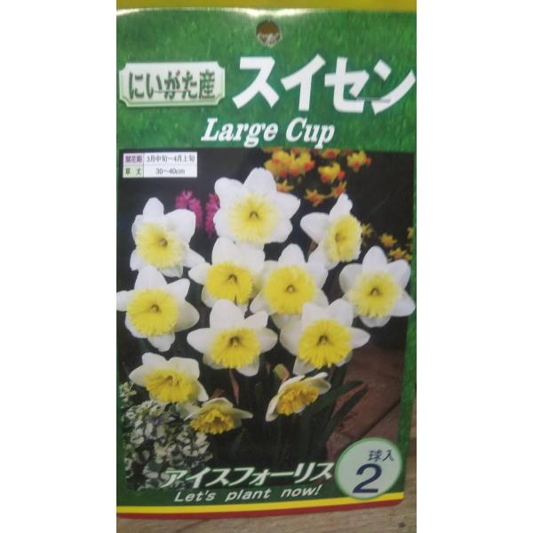 写真は同品種・同規格の品です。お届け品の現物ではありません。数量１のご注文で、１袋のお届けとなります。在庫切れ防止のため、実際の在庫数より販売可能数を少なく設定している場合があります。まとまった数量をご希望の場合は、お問い合わせください。お...