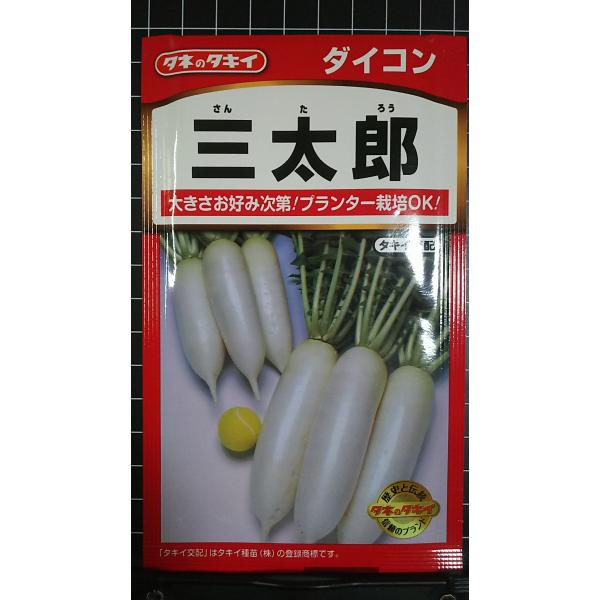 合計350円以下でのご注文は、申し訳ありませんがお受けできなくなっております。在庫切れ防止のため、実際の在庫数より販売可能数を少なく設定しております。まとまった数量をご希望の場合は、お問い合わせください。いろいろな品種を、よりどり３袋以上で...