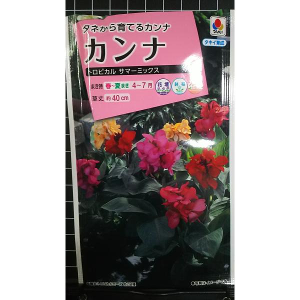 合計350円以下でのご注文は、申し訳ありませんがお受けできなくなっております。在庫切れ防止のため、実際の在庫数より販売可能数を少なく設定しております。まとまった数量をご希望の場合は、お問い合わせください。いろいろな品種を、よりどり３袋以上で...