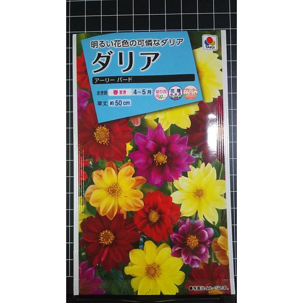 合計350円以下でのご注文は、申し訳ありませんがお受けできなくなっております。在庫切れ防止のため、実際の在庫数より販売可能数を少なく設定しております。まとまった数量をご希望の場合は、お問い合わせください。いろいろな品種を、よりどり３袋以上で...