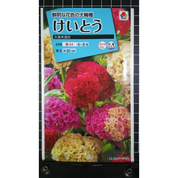 合計350円以下でのご注文は、申し訳ありませんがお受けできなくなっております。在庫切れ防止のため、実際の在庫数より販売可能数を少なく設定しております。まとまった数量をご希望の場合は、お問い合わせください。いろいろな品種を、よりどり３袋以上で...
