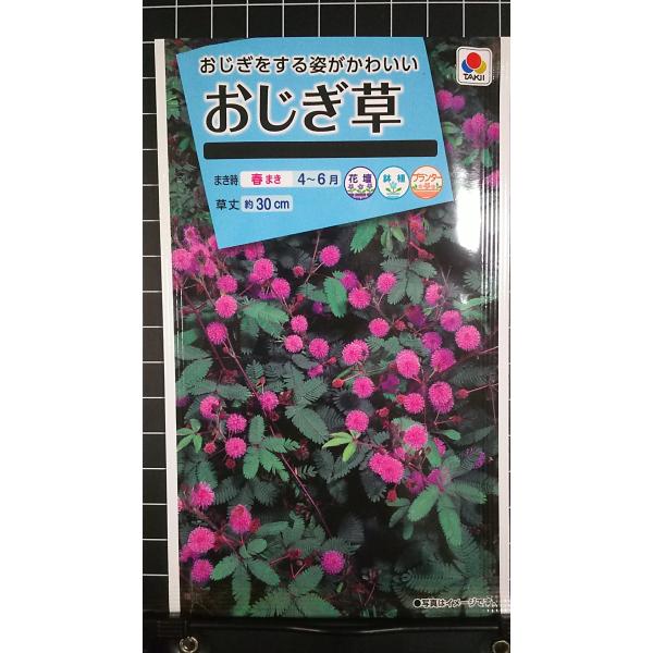 合計350円以下でのご注文は、申し訳ありませんがお受けできなくなっております。在庫切れ防止のため、実際の在庫数より販売可能数を少なく設定しております。まとまった数量をご希望の場合は、お問い合わせください。いろいろな品種を、よりどり３袋以上で...