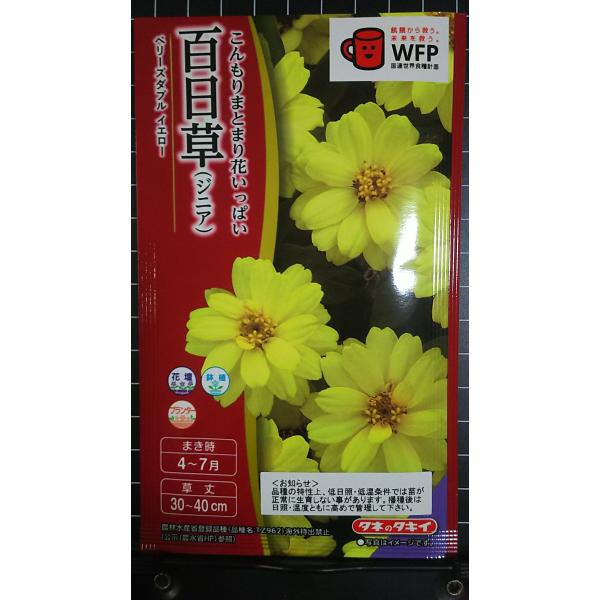 合計350円以下でのご注文は、申し訳ありませんがお受けできなくなっております。在庫切れ防止のため、実際の在庫数より販売可能数を少なく設定しております。まとまった数量をご希望の場合は、お問い合わせください。いろいろな品種を、よりどり３袋以上で...
