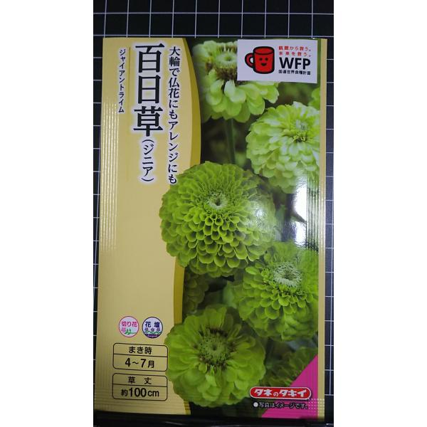 合計350円以下でのご注文は、申し訳ありませんがお受けできなくなっております。在庫切れ防止のため、実際の在庫数より販売可能数を少なく設定しております。まとまった数量をご希望の場合は、お問い合わせください。いろいろな品種を、よりどり３袋以上で...
